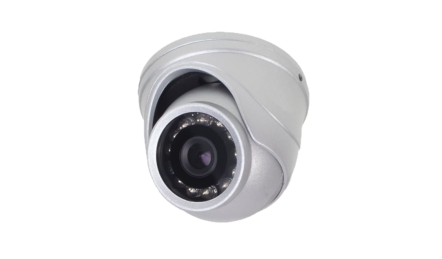 RVi-C311M (2.5 mm) main