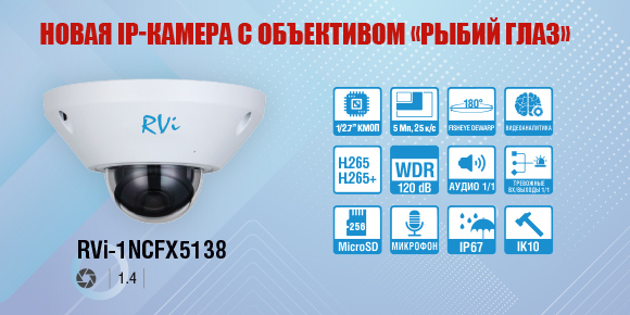 Новая антивандальная IP-камера с объективом «Рыбий глаз»